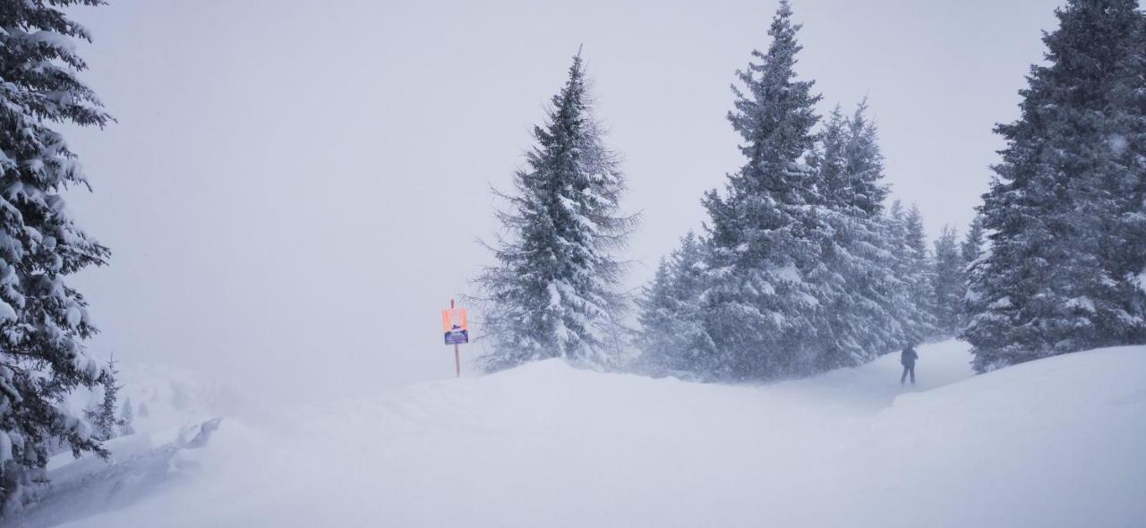 Pension Luzenberg เอาฟาค์ ภายนอก รูปภาพ