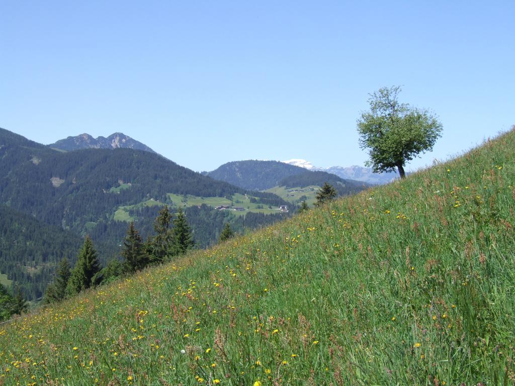 Pension Luzenberg เอาฟาค์ ภายนอก รูปภาพ